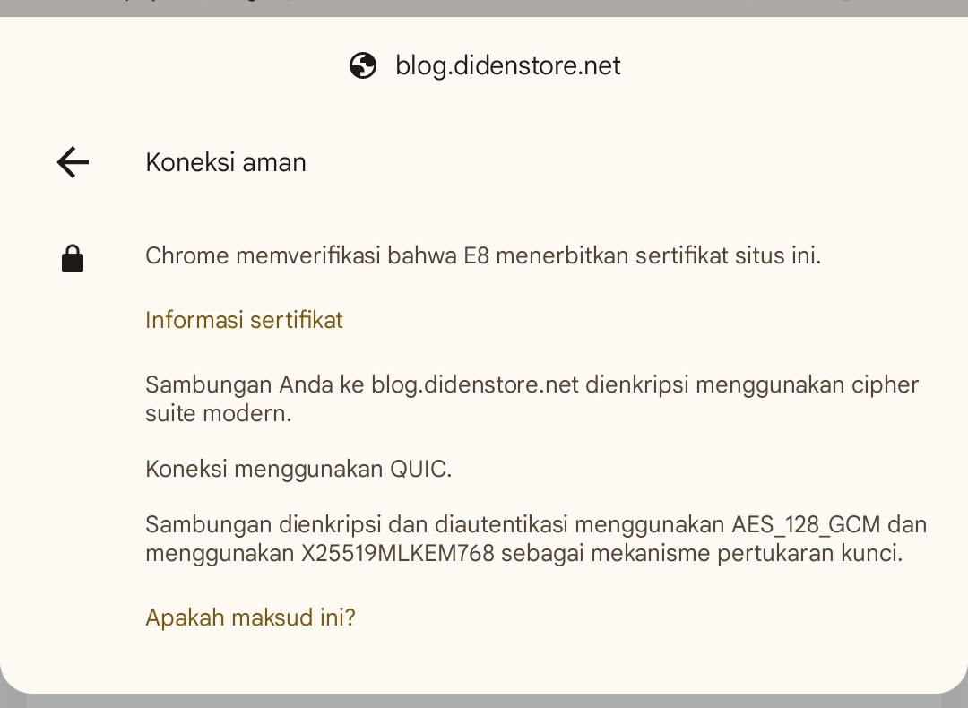 Bukti Koneksi QUIC Diden Store