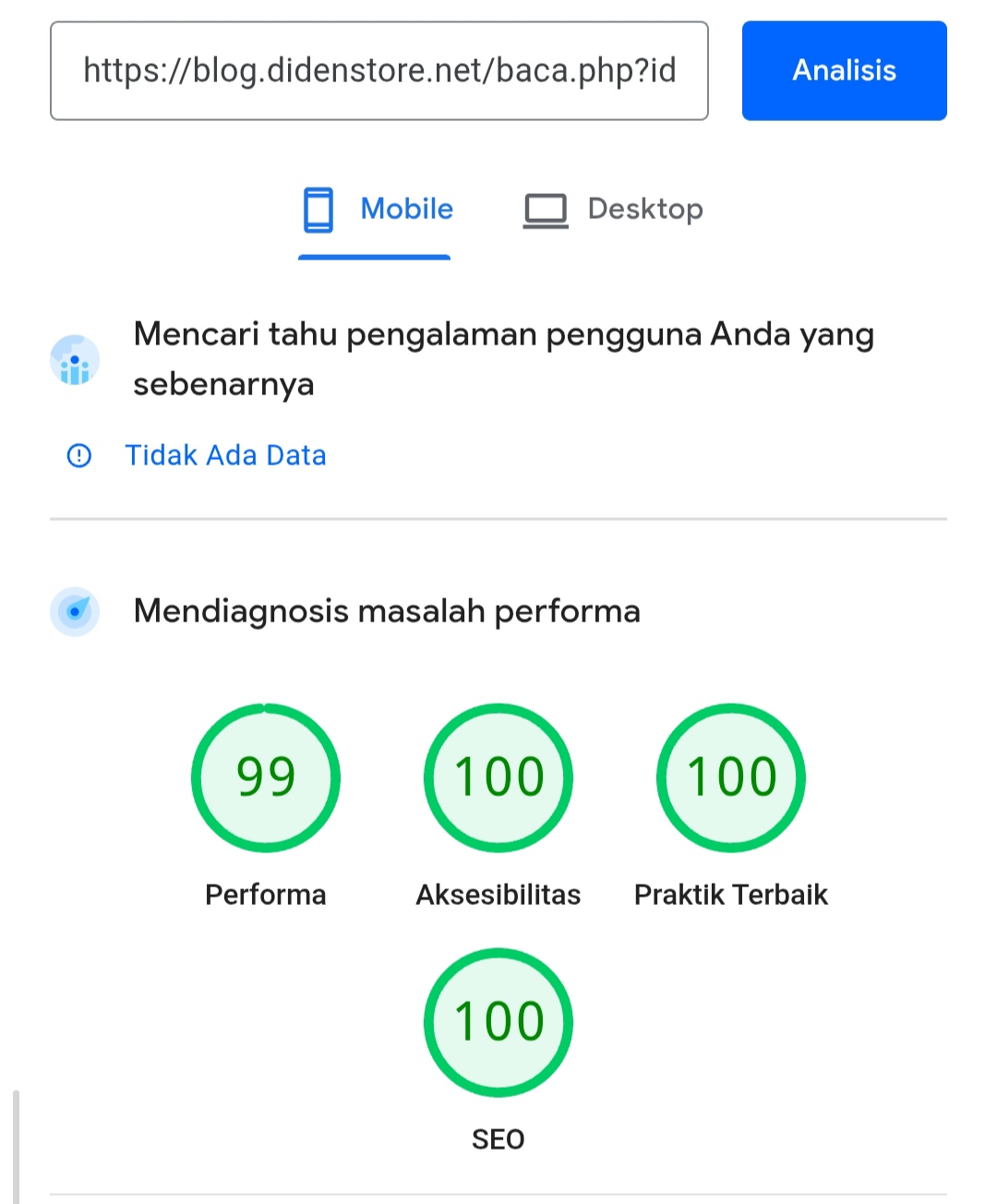 performa page speed insights