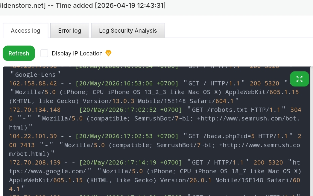 Figure SemrushBot Log Output