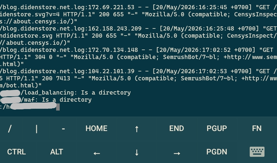 Figure Linux Terminal Command Execution