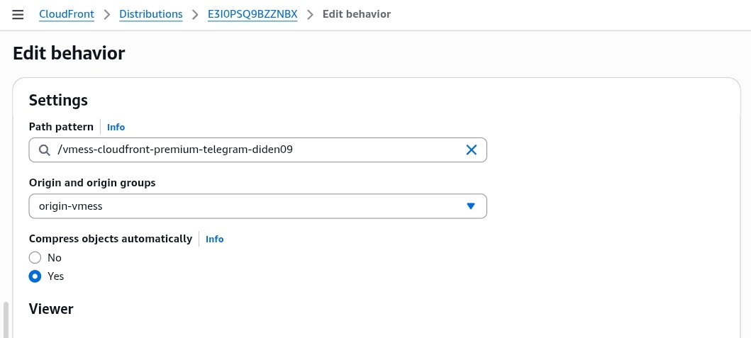 AWS CloudFront cache behavior path pattern and origin server settings for V2Ray WebSocket