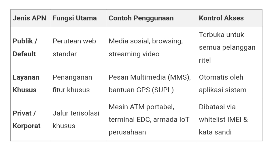 Tabel jenis-jenis APN beserta fungsi, contoh penggunaan, dan kontrol akses jaringan seluler.